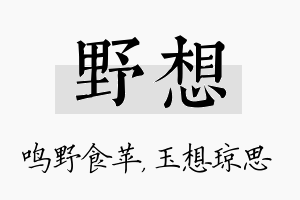 野想名字的寓意及含义