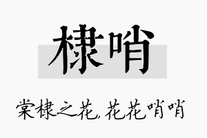 棣哨名字的寓意及含义