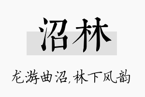 沼林名字的寓意及含义