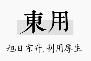 东用名字的寓意及含义