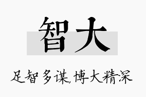 智大名字的寓意及含义