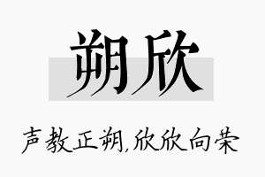 朔欣名字的寓意及含义