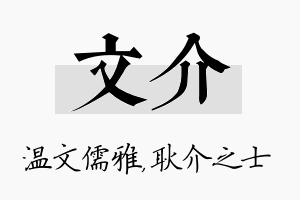 文介名字的寓意及含义