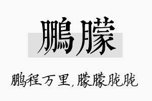 鹏朦名字的寓意及含义