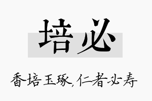 培必名字的寓意及含义