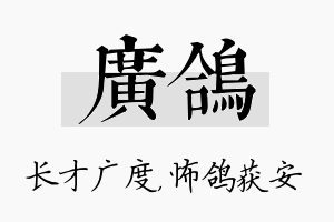 广鸽名字的寓意及含义