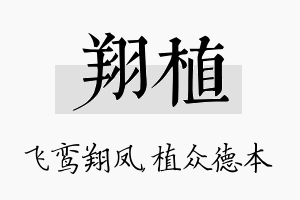 翔植名字的寓意及含义