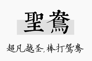 圣鸯名字的寓意及含义