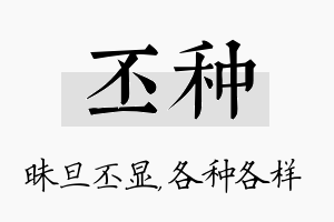 丕种名字的寓意及含义