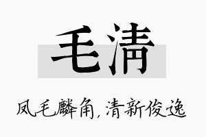 毛清名字的寓意及含义