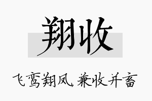 翔收名字的寓意及含义