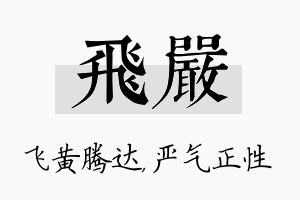 飞严名字的寓意及含义