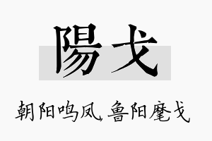 阳戈名字的寓意及含义