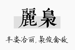 丽枭名字的寓意及含义