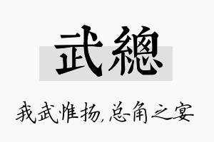 武总名字的寓意及含义