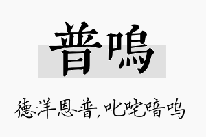 普呜名字的寓意及含义