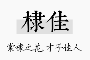 棣佳名字的寓意及含义