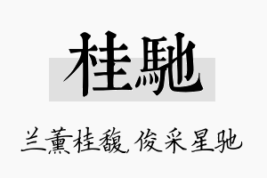 桂驰名字的寓意及含义