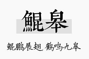 鲲皋名字的寓意及含义