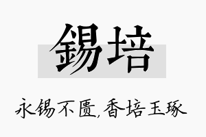 锡培名字的寓意及含义