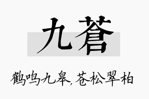 九苍名字的寓意及含义