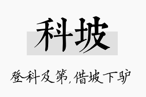 科坡名字的寓意及含义