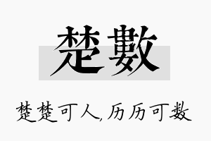 楚数名字的寓意及含义