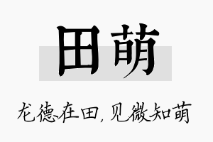 田萌名字的寓意及含义