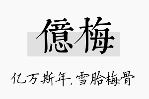 亿梅名字的寓意及含义