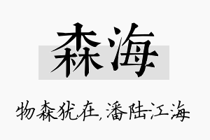 森海名字的寓意及含义