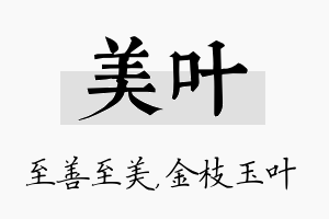 美叶名字的寓意及含义