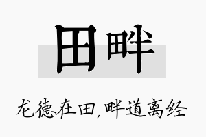 田畔名字的寓意及含义