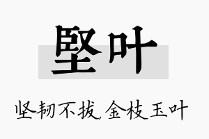 坚叶名字的寓意及含义