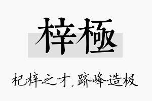 梓极名字的寓意及含义