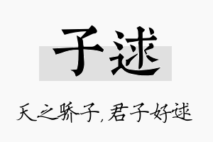 子逑名字的寓意及含义