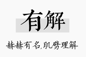 有解名字的寓意及含义