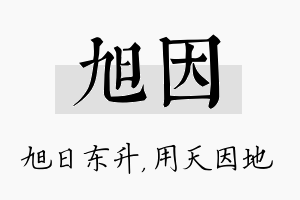 旭因名字的寓意及含义