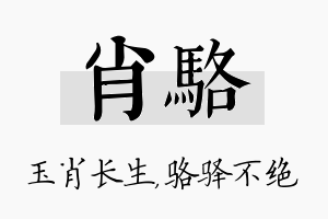 肖骆名字的寓意及含义