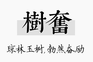 树奋名字的寓意及含义