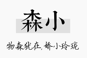 森小名字的寓意及含义