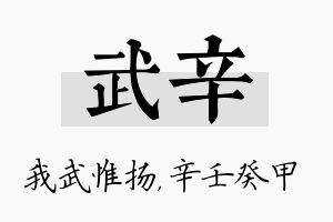 武辛名字的寓意及含义