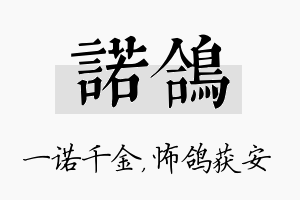 诺鸽名字的寓意及含义