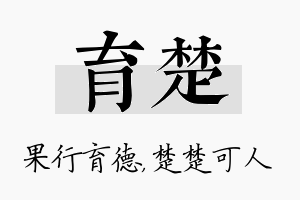 育楚名字的寓意及含义