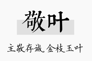 敬叶名字的寓意及含义