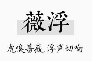 薇浮名字的寓意及含义