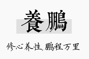 养鹏名字的寓意及含义