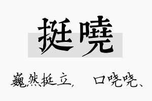 挺哓名字的寓意及含义