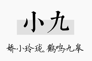 小九名字的寓意及含义