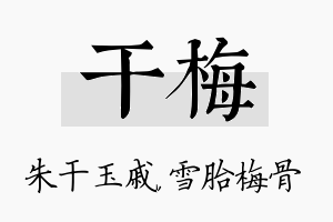 干梅名字的寓意及含义