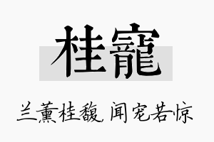 桂宠名字的寓意及含义